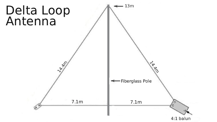 HF Delta Loop Antenna installed between trees